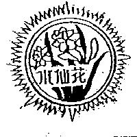 水仙花及圖