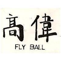 高偉 FLY Ball