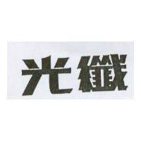 光纖