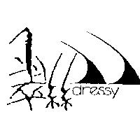 翠絲及圖 DRESSY