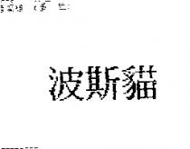 波斯貓
