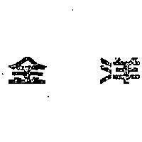 金洋