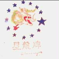 星龍牌及圖 STAR DRAGON 