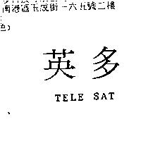 英多 TELE SAT