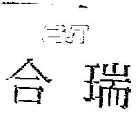 合瑞 CNT