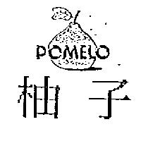 柚子及圖 POMELO