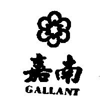 嘉南及圖 GALLANT