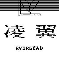 凌翼及圖 EVERLEAD