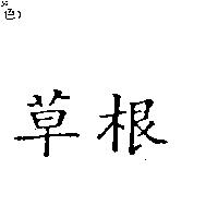 金瑞珍