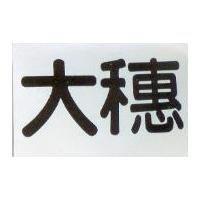 寶視力