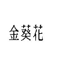 金葵花