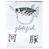 河豚及圖 globefish