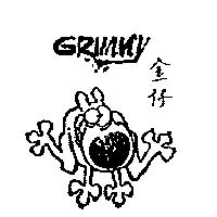 金仔 GRIMMY and device II