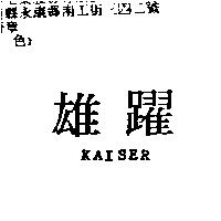雄躍 KAISER