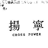 揚寧 CROSS POWER