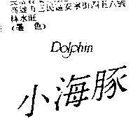 小海豚 Dolphin