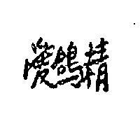 愛鴿精