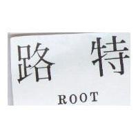 路特 ROOT