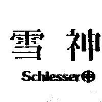 雪神及圖 SCHIESSER