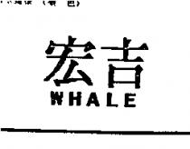 宏吉 WHALE