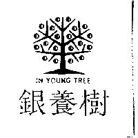 銀養樹及圖 IN YOUNG TREE