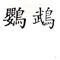 鸚鵡