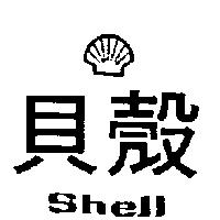 貝殼及圖 SHELL