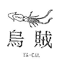 烏賊及圖 TA-CAL