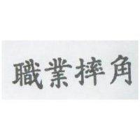 職業摔角