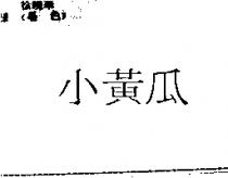 小黃瓜