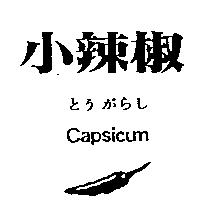 小辣椒及圖 CAPSICUM とうがらし