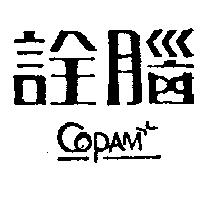 詮腦及圖 COPAM