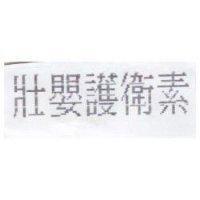 壯嬰護衛素