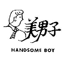 美男子及圖 HANDSOME BOY