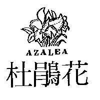 杜鵑花及圖 AZALEA