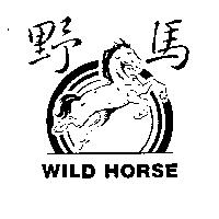 野馬及圖 WILD HORSE