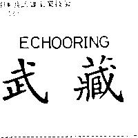武藏 ECHOORING