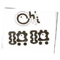 琪琪 Chi Chi