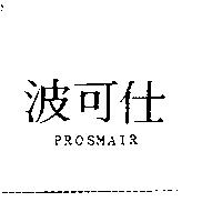 波可仕 PROSMAIR