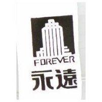 永遠及圖 FOREVER