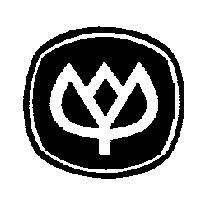 寶冠及圖 BOSS CROWN