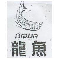 龍魚及圖 AQUA
