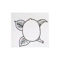 萬春公司設計圖