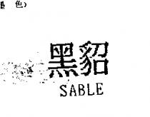 黑貂 SABLE