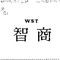 智商 WST