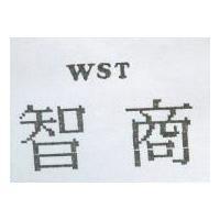 智商 WST