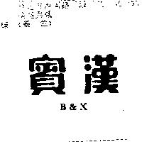 賓漢 B&X