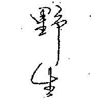 野生