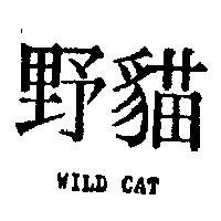 野貓 WILD CAT 