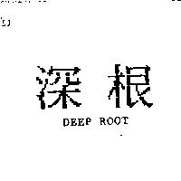 深根 DEEP ROOT